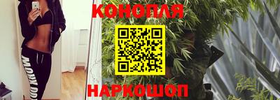 гидра Беслан