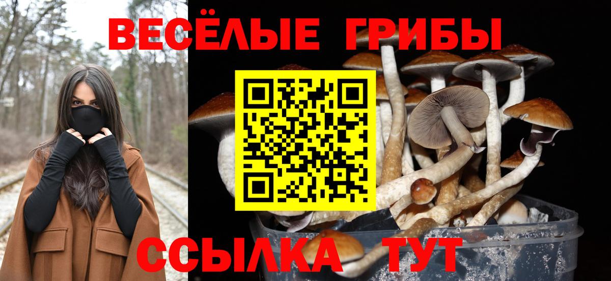 Псилоцибиновые грибы Magic Shrooms Ульяновск