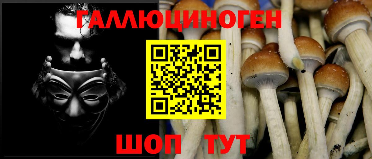 Галлюциногенные грибы Psilocybine cubensis  Псилоцибиновые грибы прущие грибы  Ульяновск  Вход с VPN 